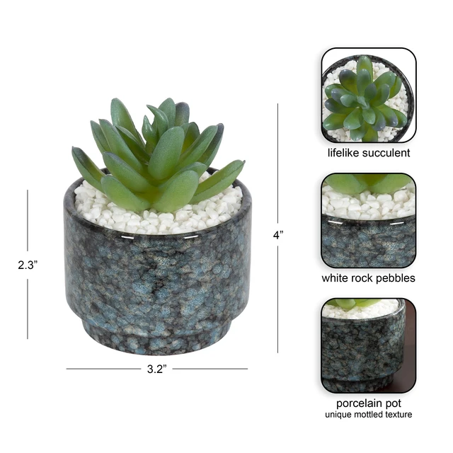 Alt view image 3 of 6 - Mainstays Artificial Crassula Ovata Succulent Plant, 3.9 in, Teal Ceramic Pot