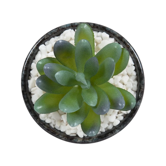 Alt view image 2 of 6 - Mainstays Artificial Crassula Ovata Succulent Plant, 3.9 in, Teal Ceramic Pot