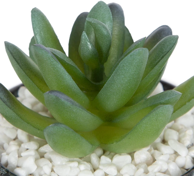 Alt view image 6 of 6 - Mainstays Artificial Crassula Ovata Succulent Plant, 3.9 in, Teal Ceramic Pot