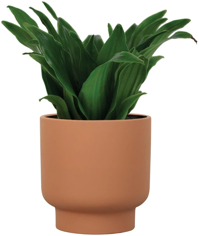 Alt view image 4 of 6 - Mainstays Petra Terra 6 in Round Terracotta Clay Planter