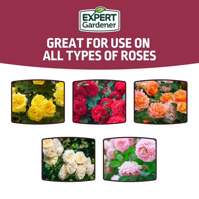 Alt view image 2 of 6 - Expert Gardener Rose Plant Food Fertilizer 12-6-10, 4 lb.