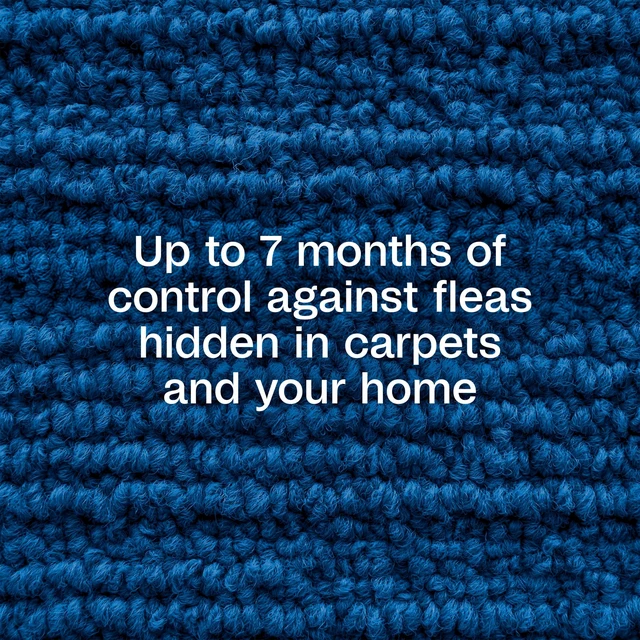 Alt view image 4 of 6 - ADAMS Flea & Tick Carpet & Home Spray 16oz, Kills Bed Bugs Fleas Ticks Spiders Ants, Indoor Home Treatment, 7-Month Flea Protection, Treats Up to 2000sq ft