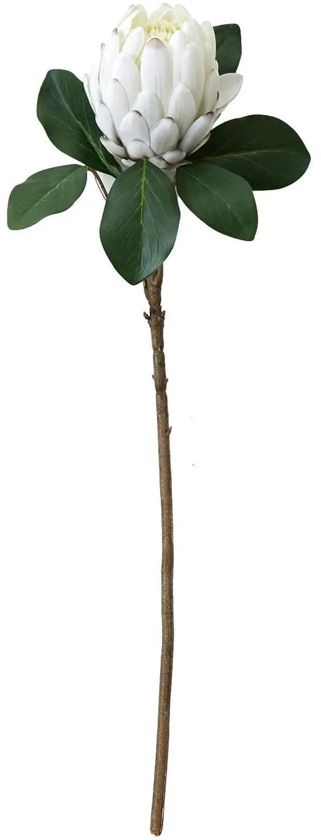 Main image of Mainstays 26.5"L Artificial Indoor Silk Protea Stem