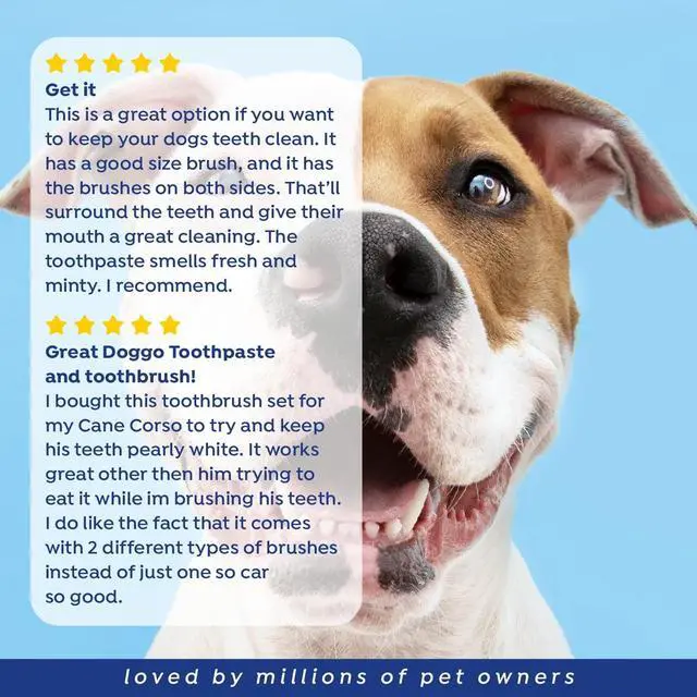 Alt view image 7 of 7 - Naturel Promise Fresh Dental Tooth Brushing Kit for Dogs & Cats, 2 oz Gel and Toothbrush