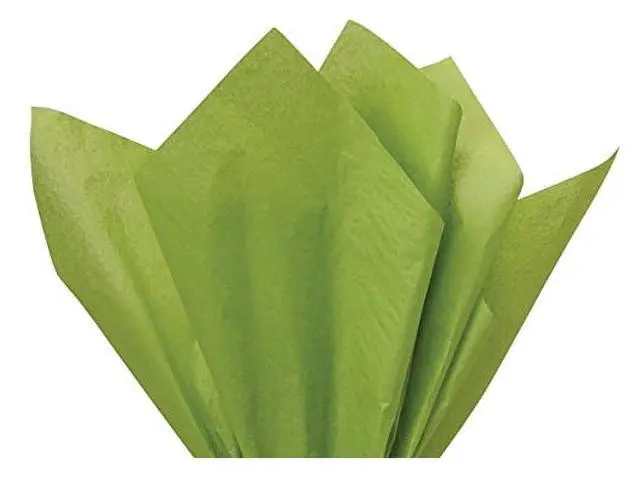 Alt view image 2 of 2 - Oasis Green Gift Wrap Tissue Paper 15in X 20in - 100 Sheets