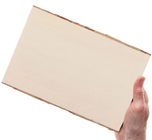 Alt view image 5 of 5 - Hampton Art Basswood Rectangle W/Bark Sm (LY)