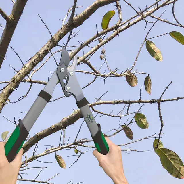 Alt view image 2 of 7 - Expert Gardener 15-Inch Lopper, Lightweight and Durable with Ergonomic Grips