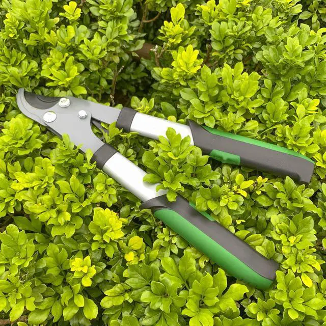 Alt view image 6 of 7 - Expert Gardener 15-Inch Lopper, Lightweight and Durable with Ergonomic Grips