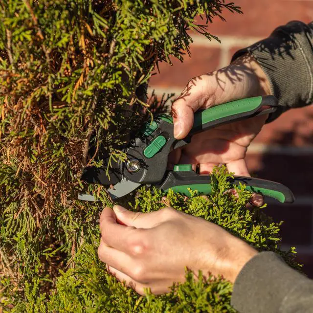 Alt view image 3 of 5 - Expert Gardener Bypass Pruner, 3/4-inch Cutting Capacity