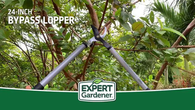 Alt view image 4 of 6 - Expert Gardener 24 in Steel Bypass Lopper, 1 in Cutting Capacity, Green and Black