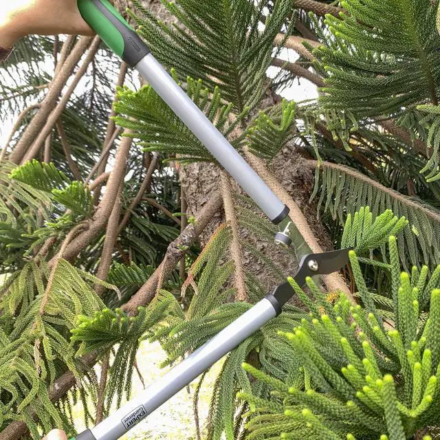 Alt view image 6 of 6 - Expert Gardener 24 in Steel Bypass Lopper, 1 in Cutting Capacity, Green and Black