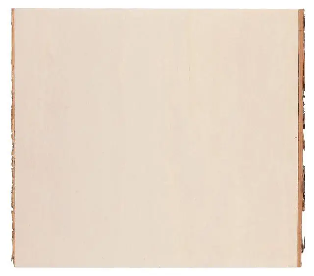 Alt view image 5 of 5 - Hampton Art Basswood Rectangle W/Bark, Wood Plank, Live Edge Wood Slab, Walnut Wood, Planks, Wooden Plank, Planks For Shelves, Planks For Crafting, Slabs Crafts, 9"X 10.25"