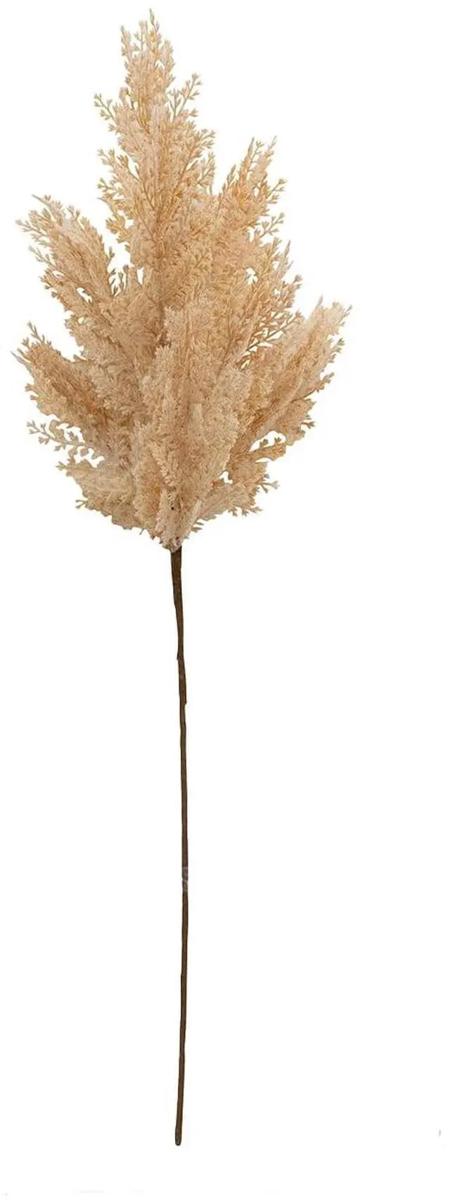Main image of Better Homes & Gardens 33 in Artificial Dried Pampas Stem, 1 Stem