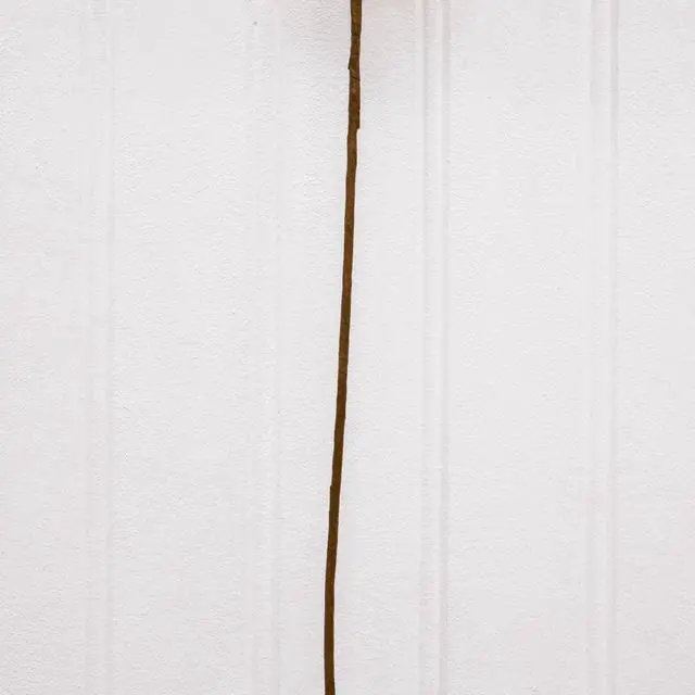 Alt view image 5 of 5 - Better Homes & Gardens 33 in Artificial Dried Pampas Stem, 1 Stem