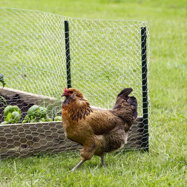 Alt view image 6 of 6 - Garden Craft 4ft H Green Light Duty Fence Post
