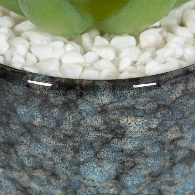 Alt view image 4 of 5 - Mainstays Artificial Crassula Ovata Succulent Plant, 3.9 in, Teal Ceramic Pot