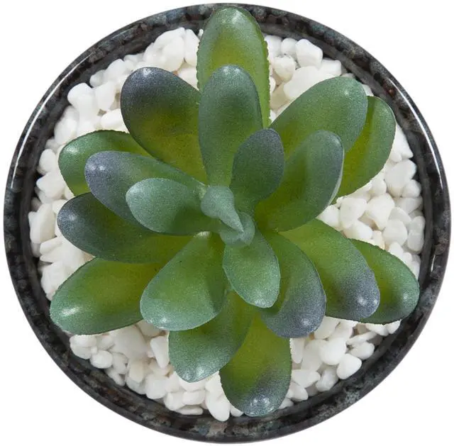 Alt view image 2 of 5 - Mainstays Artificial Crassula Ovata Succulent Plant, 3.9 in, Teal Ceramic Pot