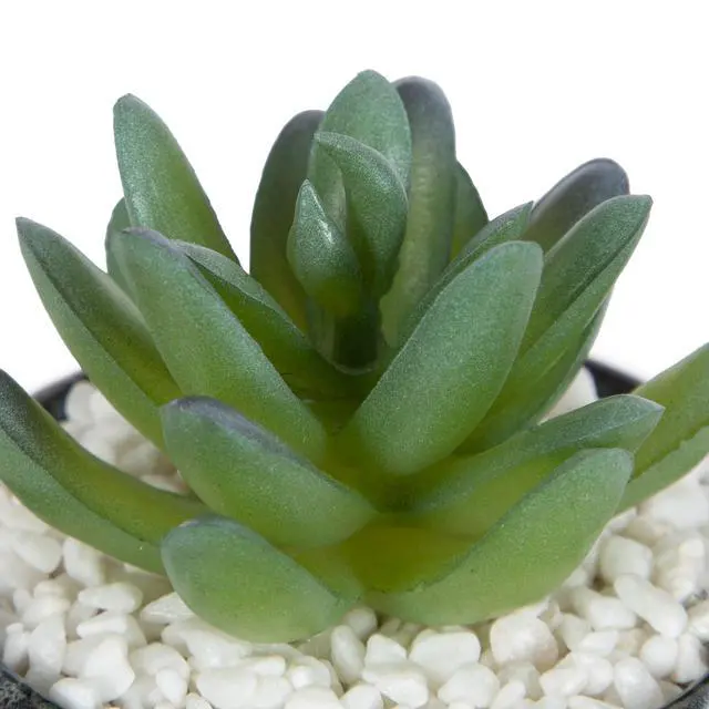 Alt view image 5 of 5 - Mainstays Artificial Crassula Ovata Succulent Plant, 3.9 in, Teal Ceramic Pot