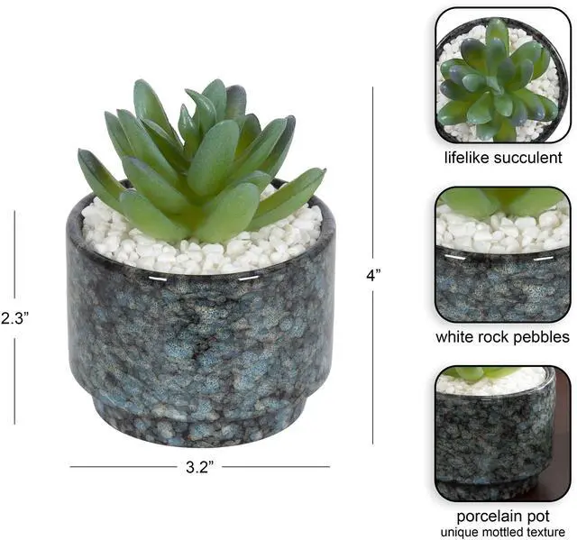 Alt view image 3 of 5 - Mainstays Artificial Crassula Ovata Succulent Plant, 3.9 in, Teal Ceramic Pot