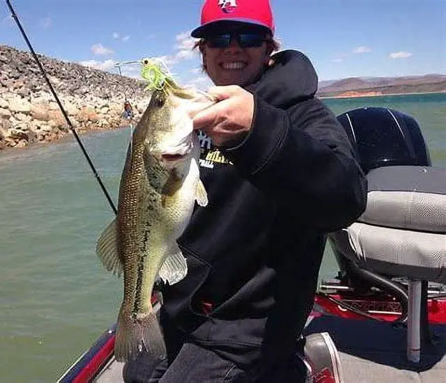 Alt view image 5 of 6 - (5 pack) Strike King Promo Spinnerbait Fishing Lure