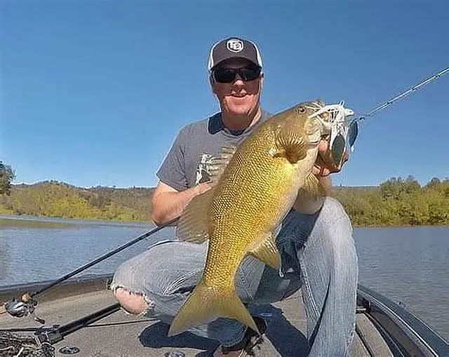 Alt view image 3 of 6 - (6 pack) Strike King Promo Spinnerbait Fishing Lure