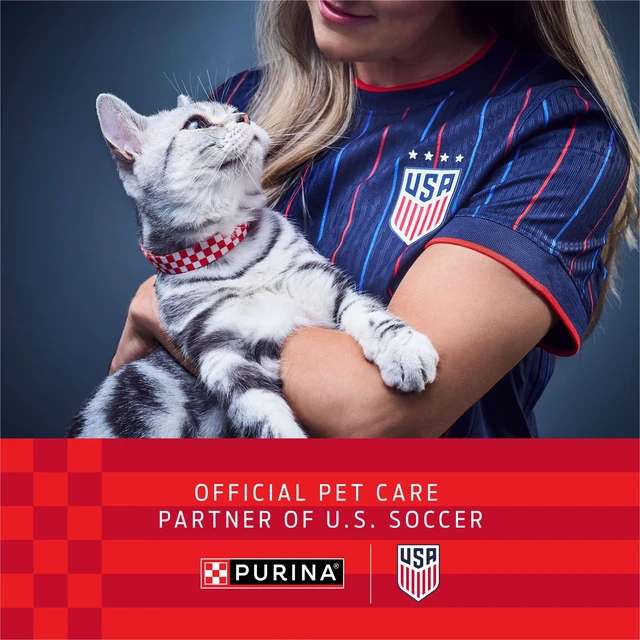 Alt view image 4 of 5 - Purina Cat Chow Hairball & Healthy Weight, Indoor Dry Cat Food, Chicken, 3.15 lb Bag
