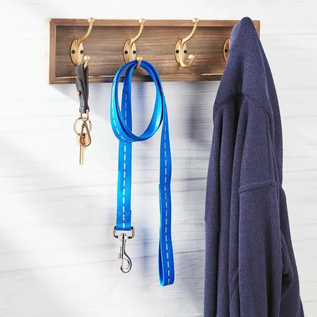 Main image of Vibrant Life Reflective Polyester Dog Leash, Blue, Small, 5 feet