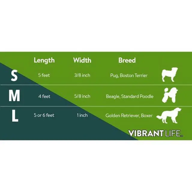 Alt view image 3 of 7 - Vibrant Life Reflective Polyester Dog Leash, Blue, Small, 5 feet