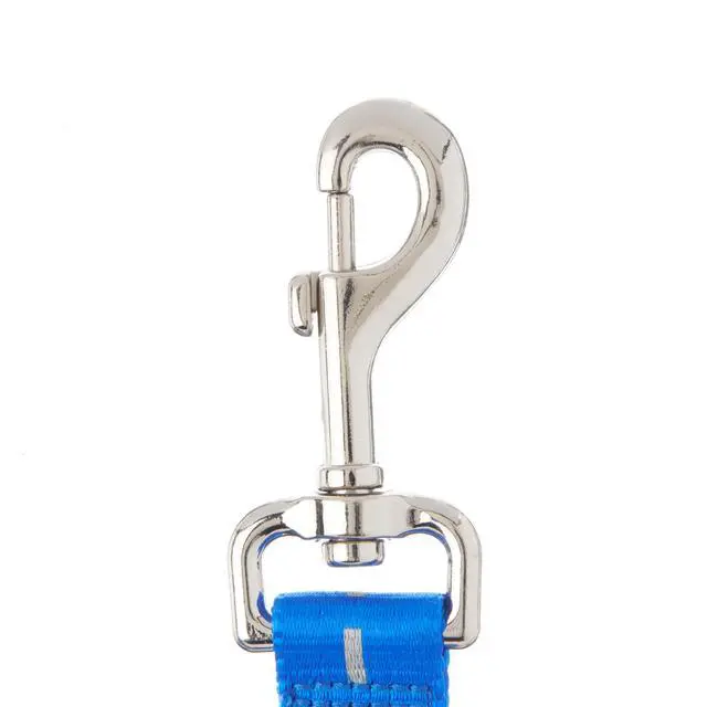 Alt view image 5 of 7 - Vibrant Life Reflective Polyester Dog Leash, Blue, Small, 5 feet