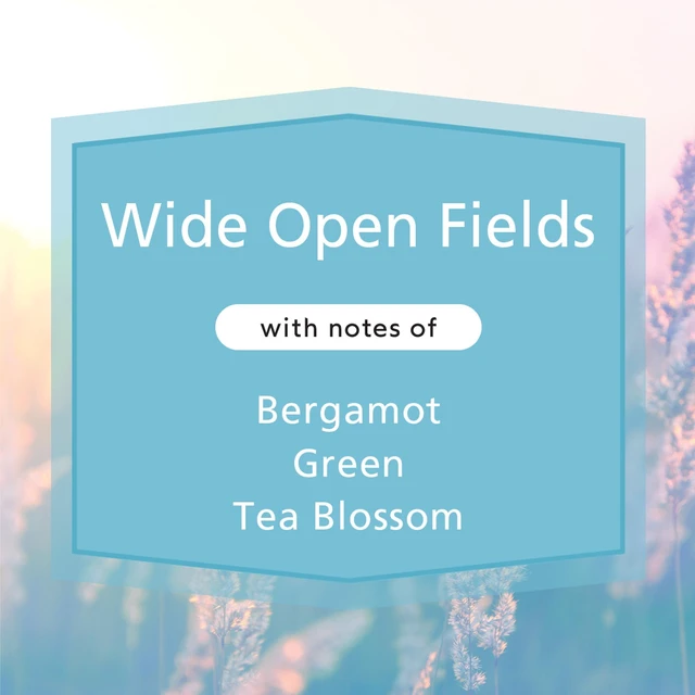 Alt view image 5 of 6 - Mainstays Wide Open Fields 3-Wick Candle, 11.5 oz