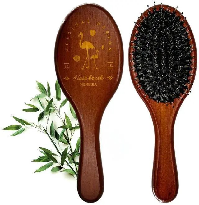 Main image of Boar & Nylon Bristle Hair Brush for Women, Brown Natural No Shampoo Hair Brush for Dry & Fine Hair A