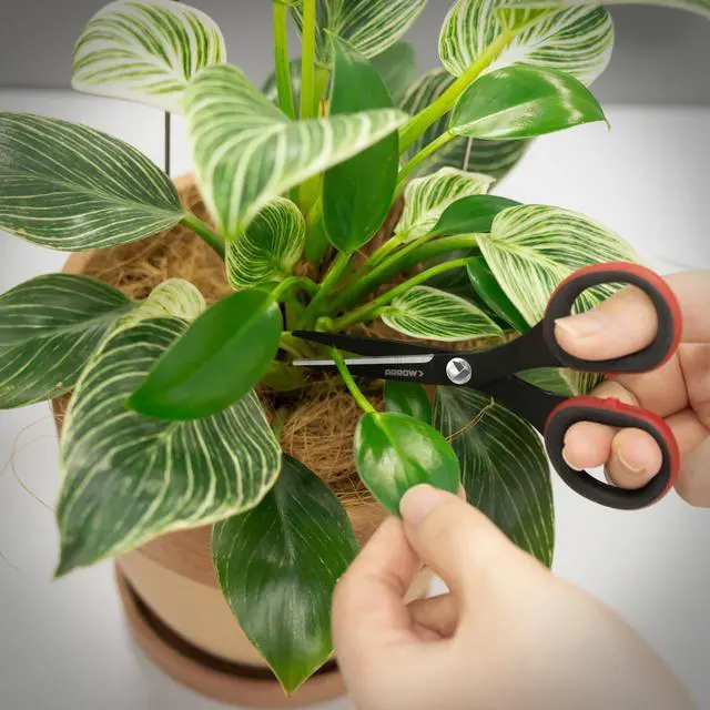 Alt view image 3 of 7 - Scissors, Craft, 5"