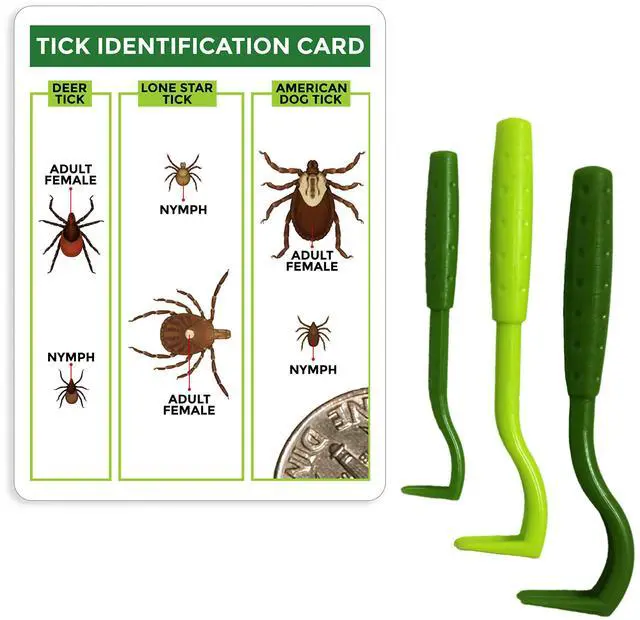 Main image of Tick Remover Value 3 Pack - Tick Remover Tools + Tick Identification Card - for Humans, Dogs & Cats (1 Set)