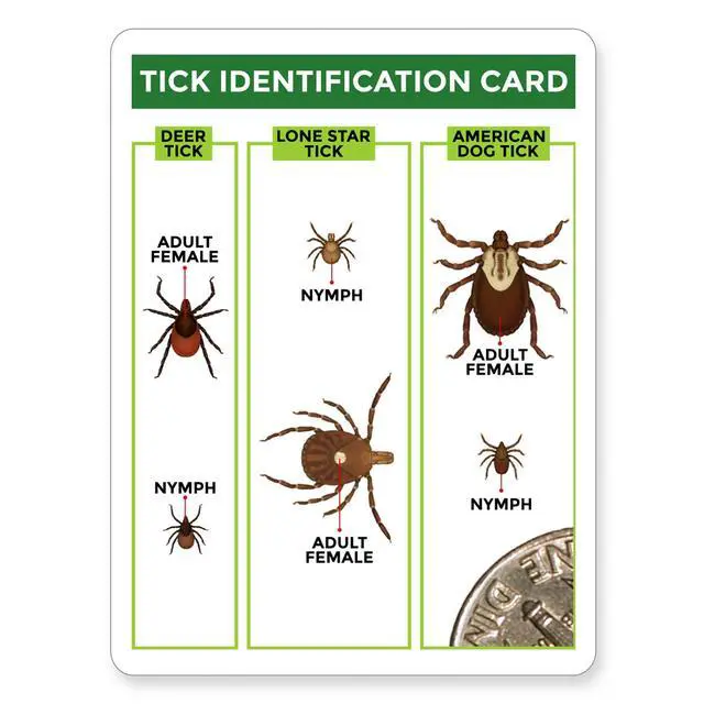 Alt view image 4 of 7 - Tick Remover Value 3 Pack - Tick Remover Tools + Tick Identification Card - for Humans, Dogs & Cats (1 Set)