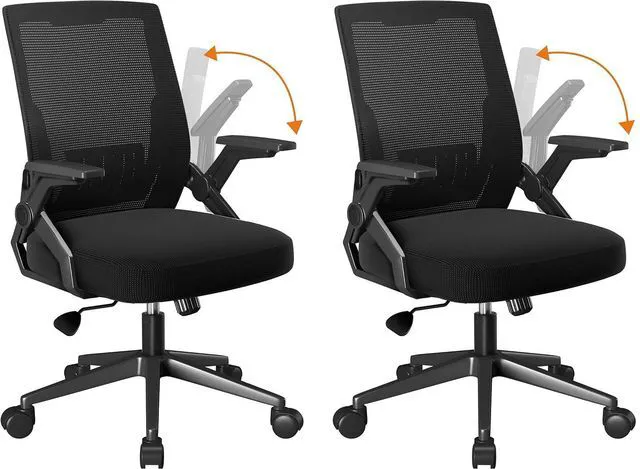 Main image of Office Chair with Flip-up Armrests Ergonomic Computer Desk Chair with Adaptive Lumbar Support & Breathable Mesh, Black, Pack of 2