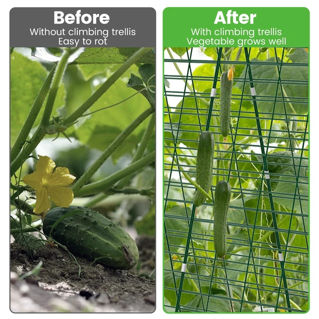 Alt view image 4 of 7 - Foldable Cucumber Trellis 48" L x 34" W - 3 Pack | A-Frame Trellis, Climbing Plants Support Raised Bed Trellis, with Twist Ties & Plant Bags for Outdoor Yards Gardens
