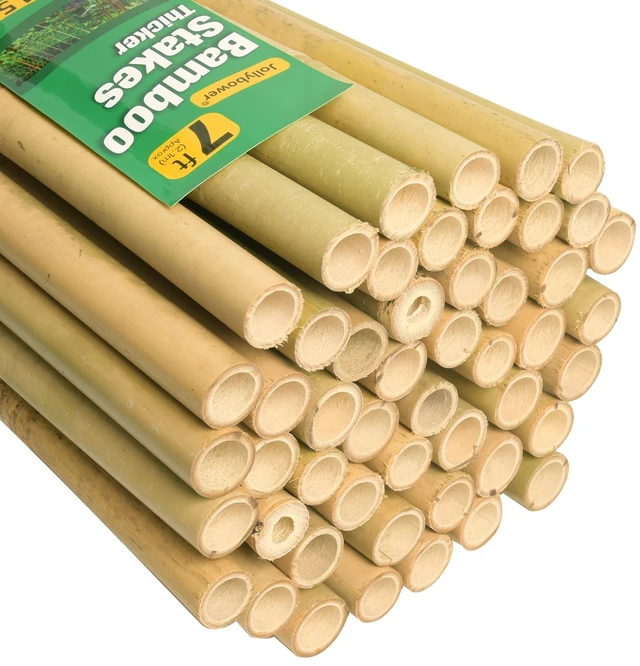 Main image of 3/4" D 7 Feet Bamboo Stakes 50 Pack, Thicker Heavy-Duty Plant Stakes, Natural Garden Stakes for Bean, Tomato, Bean, Flowers,Trees Potted and Climbing Plant Support