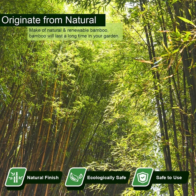 Alt view image 2 of 7 - 3/4" D 7 Feet Bamboo Stakes 50 Pack, Thicker Heavy-Duty Plant Stakes, Natural Garden Stakes for Bean, Tomato, Bean, Flowers,Trees Potted and Climbing Plant Support