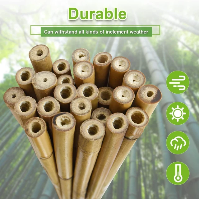 Alt view image 4 of 7 - 3/4" D 7 Feet Bamboo Stakes 50 Pack, Thicker Heavy-Duty Plant Stakes, Natural Garden Stakes for Bean, Tomato, Bean, Flowers,Trees Potted and Climbing Plant Support
