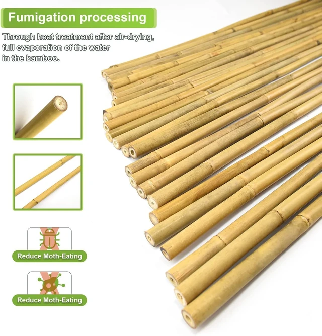 Alt view image 3 of 7 - 3/4" D 7 Feet Bamboo Stakes 50 Pack, Thicker Heavy-Duty Plant Stakes, Natural Garden Stakes for Bean, Tomato, Bean, Flowers,Trees Potted and Climbing Plant Support