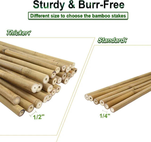 Alt view image 5 of 7 - 3/4" D 7 Feet Bamboo Stakes 50 Pack, Thicker Heavy-Duty Plant Stakes, Natural Garden Stakes for Bean, Tomato, Bean, Flowers,Trees Potted and Climbing Plant Support