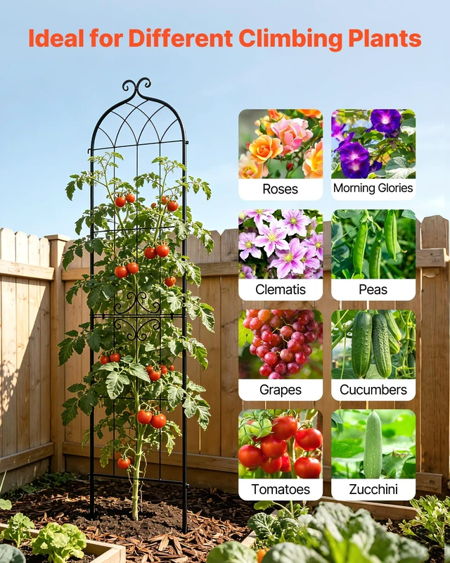 Alt view image 5 of 7 - 4 Packs Metal Garden Trellis for Climbing Plants Outdoor 87x21in, Rustproof Plant Tall Trellis for Rose Vine Flowers and Vegetables