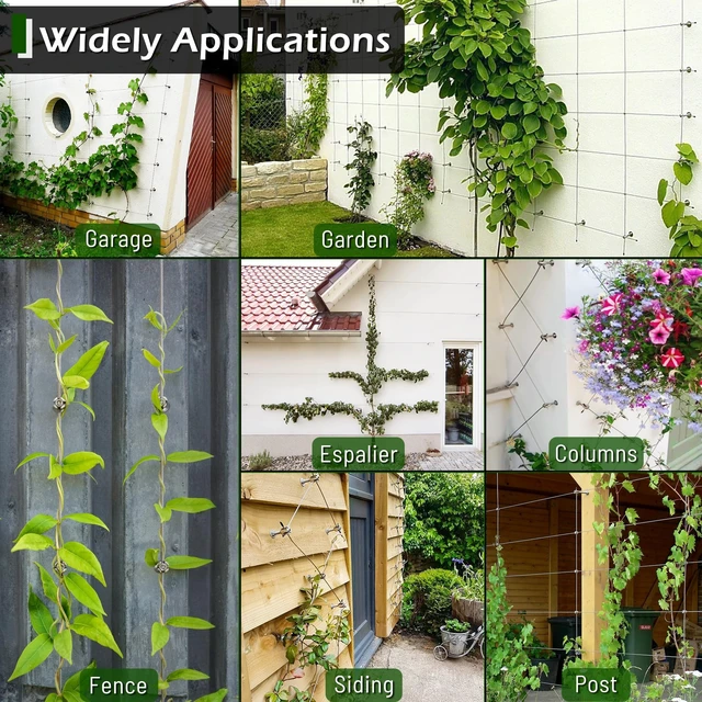 Alt view image 7 of 7 - Wire Trellis Kit, 30-Set 5/64(2mm) Crosshead Kit with 150ft Cable | T316 Marine Grade Stainless Steel, Wall-Mounted Cable Trellis for Climbing Plants Outdoor, Garden Fence Espalier System