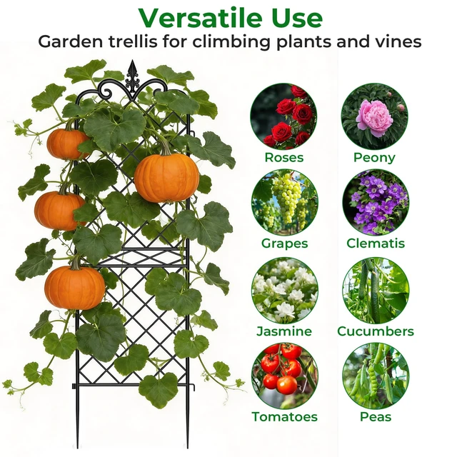 Alt view image 7 of 7 - Amagabeli Garden Home 4 Pack Trellis for Climbing Plants Outdoor 72x21 Heavy Duty Rustproof Wall Metal Decoration Large Trellis for Potted Plants Support Trellis for Roses Vegetable Black