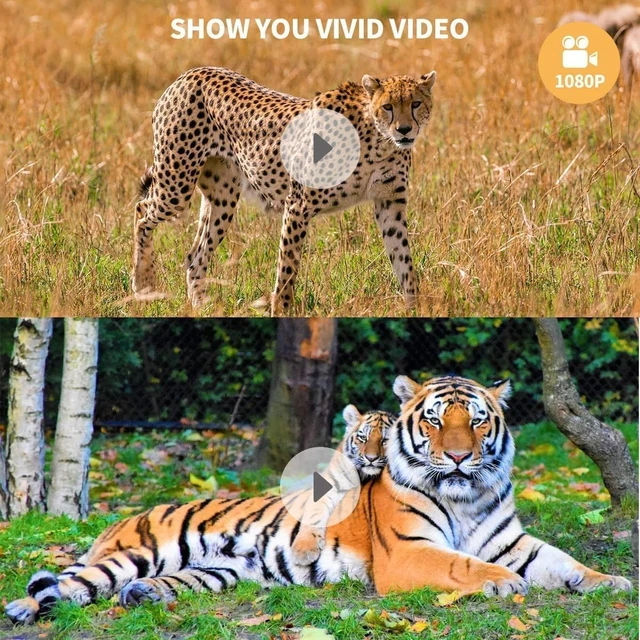 Alt view image 5 of 6 - 2 Pack Trail Cameras with Night Vision Motion Activated Waterproof,48MP Game Camera,1080P HD Trail Cam with SD Card for Wildlife Monitoring,Outdoor Scouting & Security(Non-WiFi)