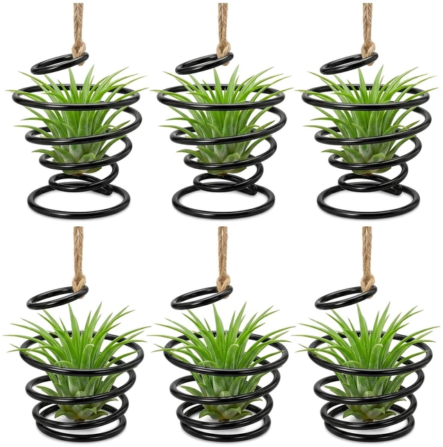 Main image of Prebafo 6 Pack Air Plant Holders with Jute Rope, Hanging Spiral Tillandsia Holders, Metal Air Plant Display Supports for Soilless Plants, Succulents, Home Office Decor