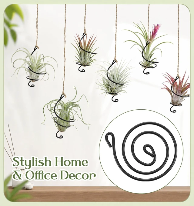 Alt view image 5 of 7 - Thrymme 6 Pcs Air Plant Hanger, Airplant Plant Holder Set with Jute Rope - Black Iron Hanging Display for Tillandsia, Home & Office Decor