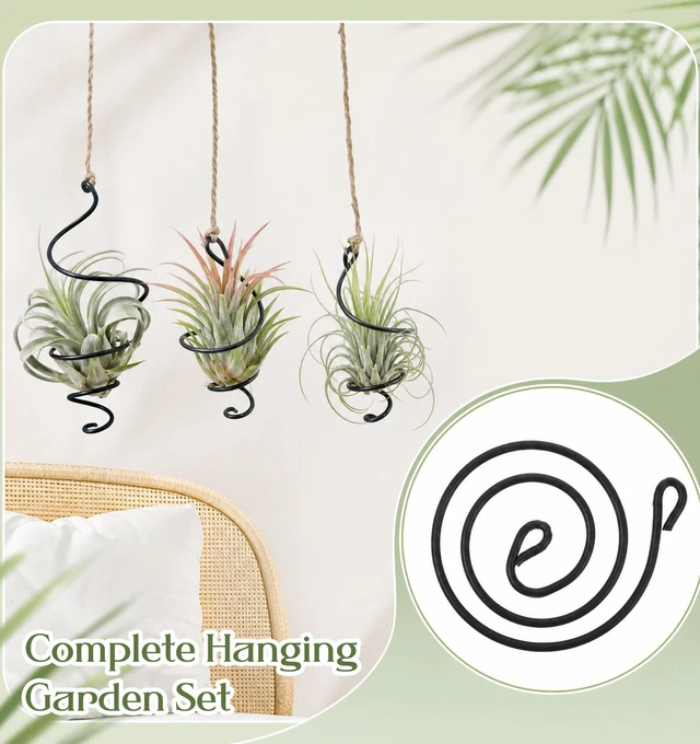 Alt view image 7 of 7 - Thrymme 6 Pcs Air Plant Hanger, Airplant Plant Holder Set with Jute Rope - Black Iron Hanging Display for Tillandsia, Home & Office Decor