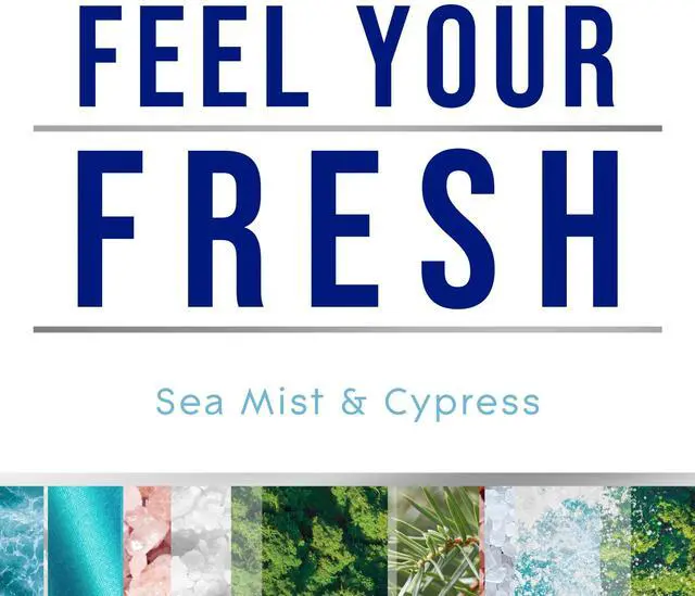 Alt view image 5 of 6 - Glade Candles, Sea Mist & Cypress, Fresh Collection, 8.16 oz, Pack of 2