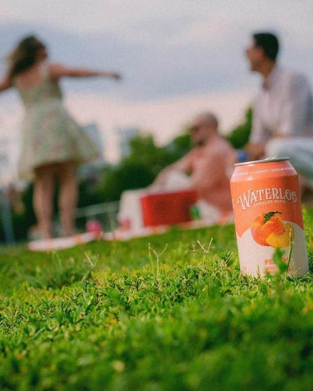 Alt view image 5 of 6 - Waterloo Sparkling Water Peach 12 Fl Oz Cans (Pack of 12)